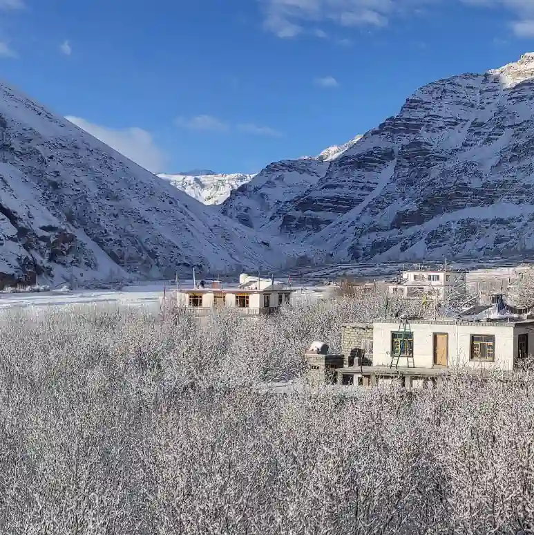 WHISPER Tabo Homestay - II | 50 km from Kaza
