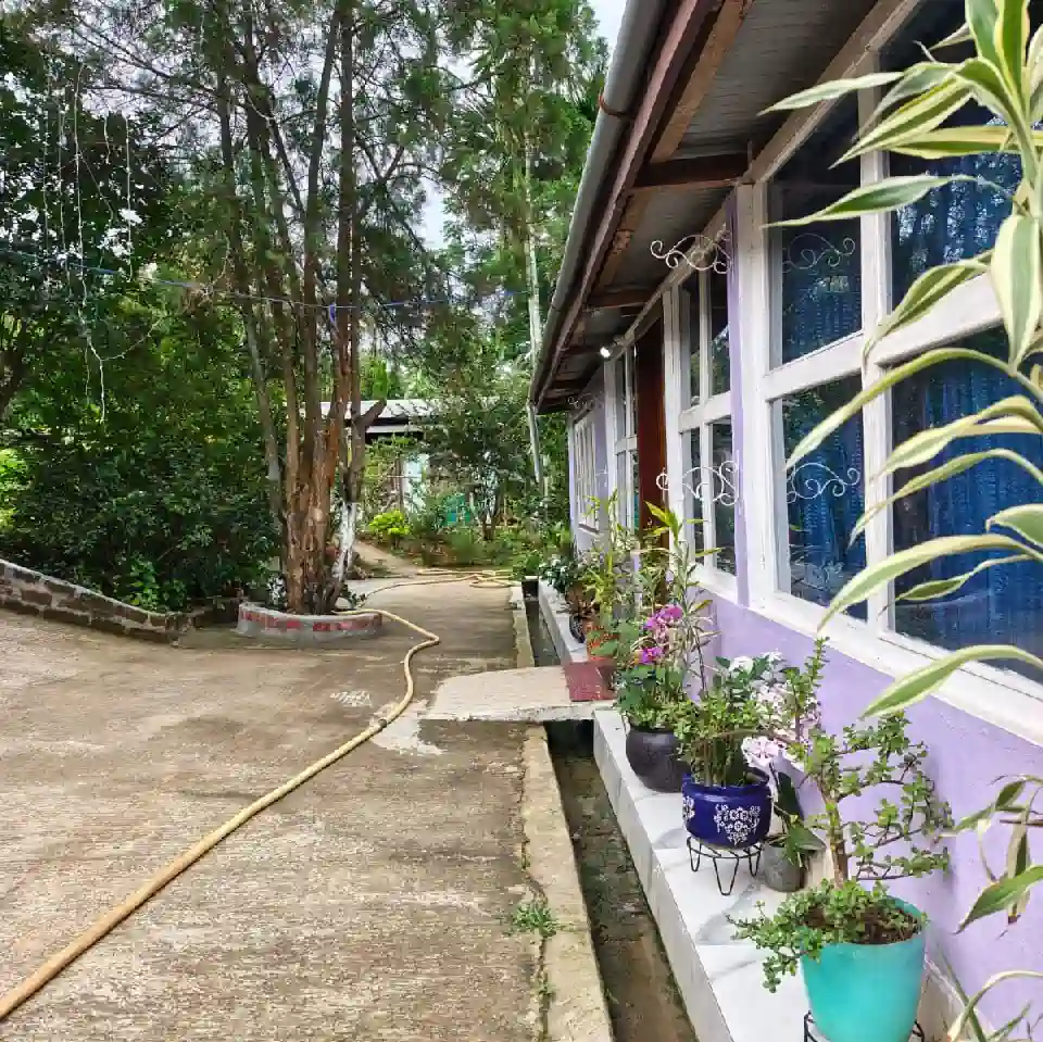 UNSEEN Umrangso Homestay