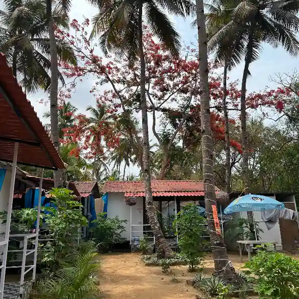 ECHO Palolem Cottage | 200 m from Palolem Beach