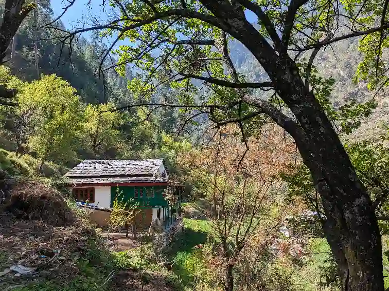 Nagini, Kullu, Himachal Pradesh