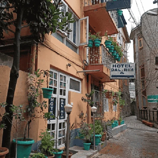 ECHO Dalgate Hotel | Near Dal Lake