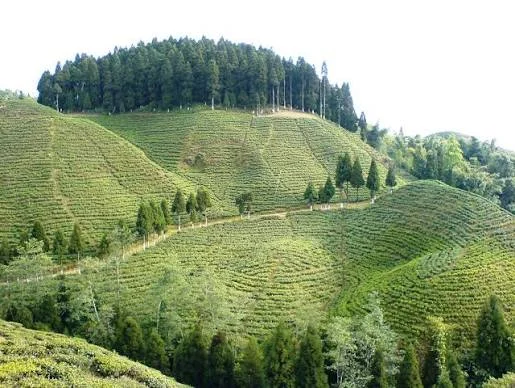 Mirik, Darjeeling, West bengal