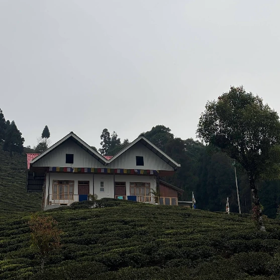WHISPER Sittong Homestay - II | 25 km from Kurseong