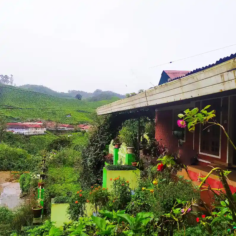 ECHO Munnar Homestay